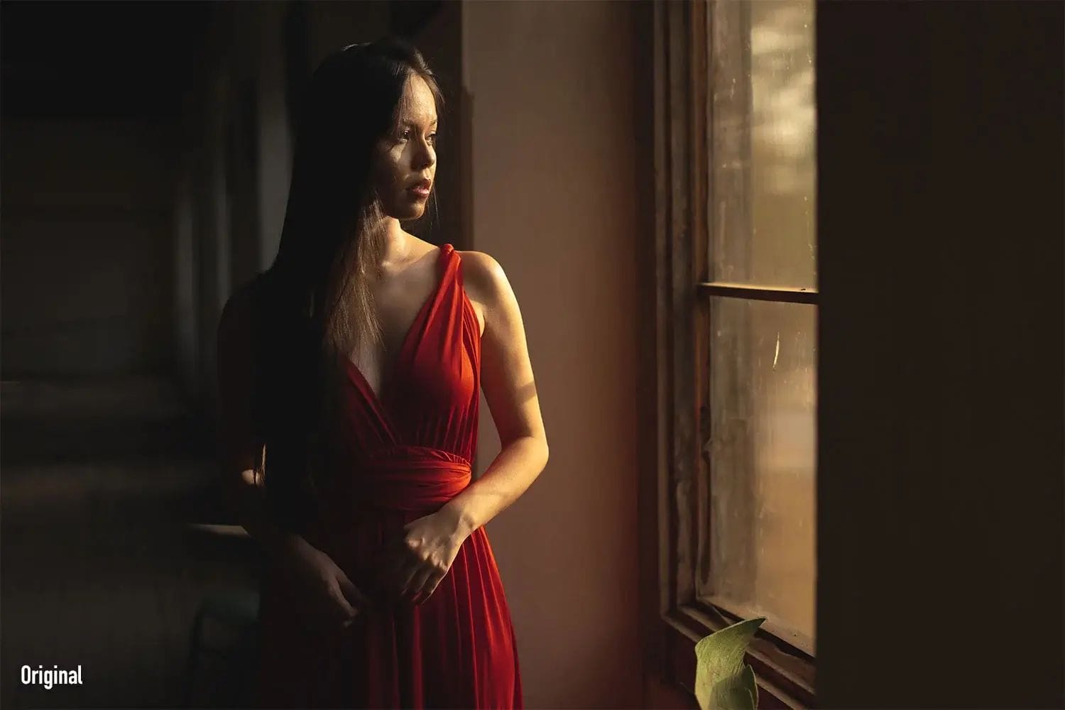 Fine Portraits LUTs