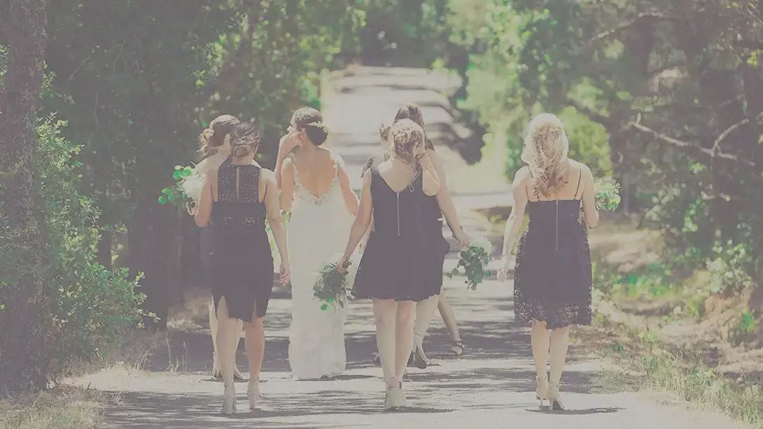 25 Professional LUTs for Wedding Videos MLUT Film