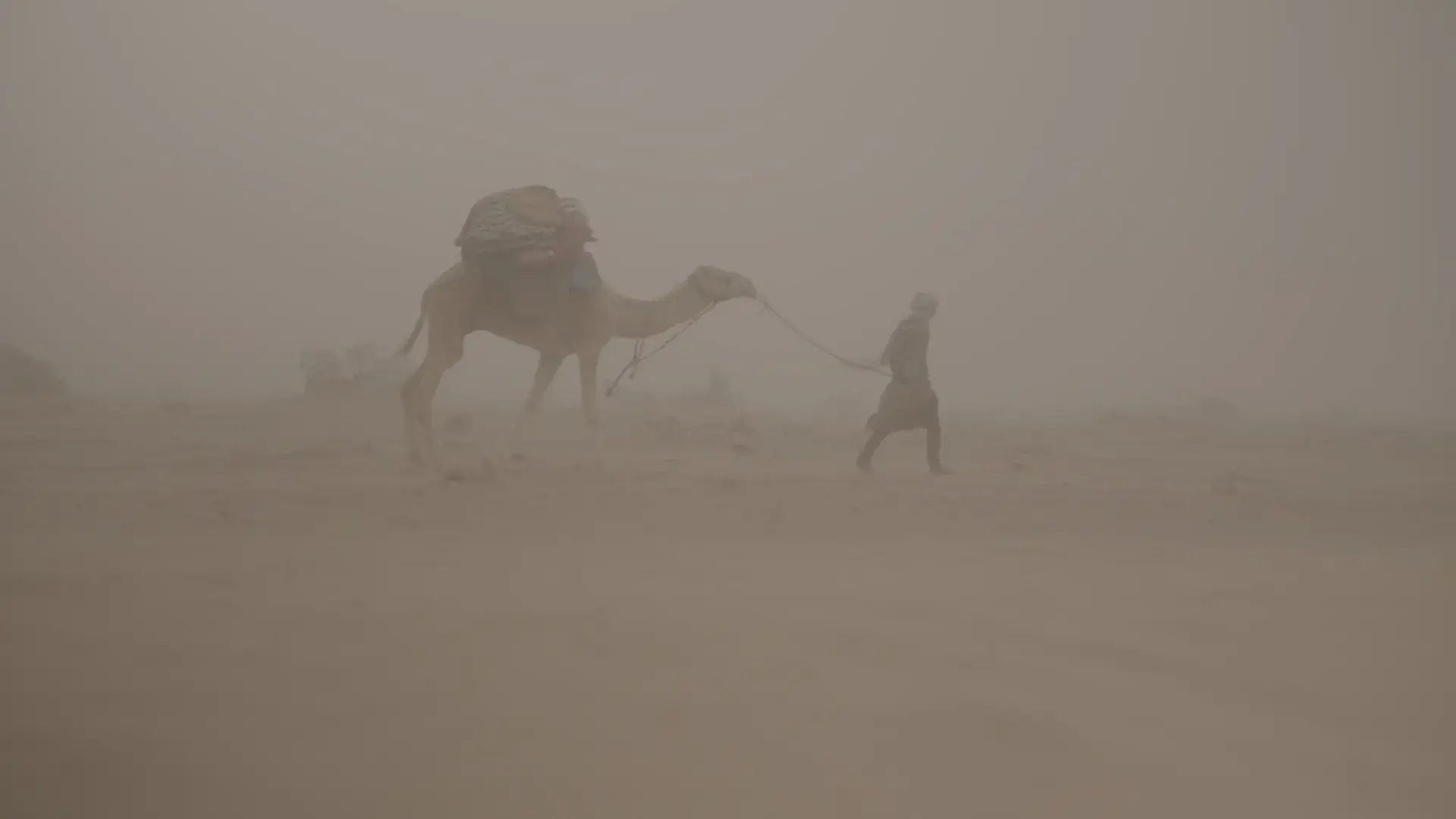 Film Space The Ultimate Master Bundle