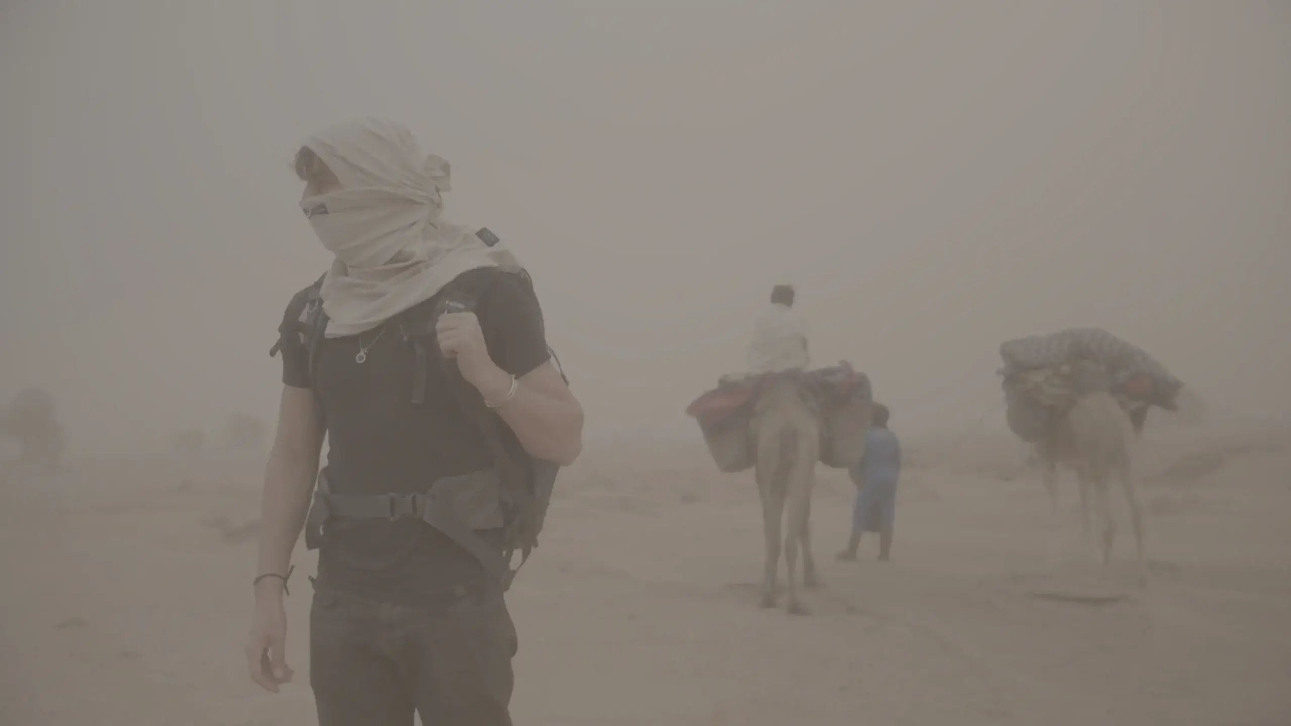 Film Space The Ultimate Master Bundle